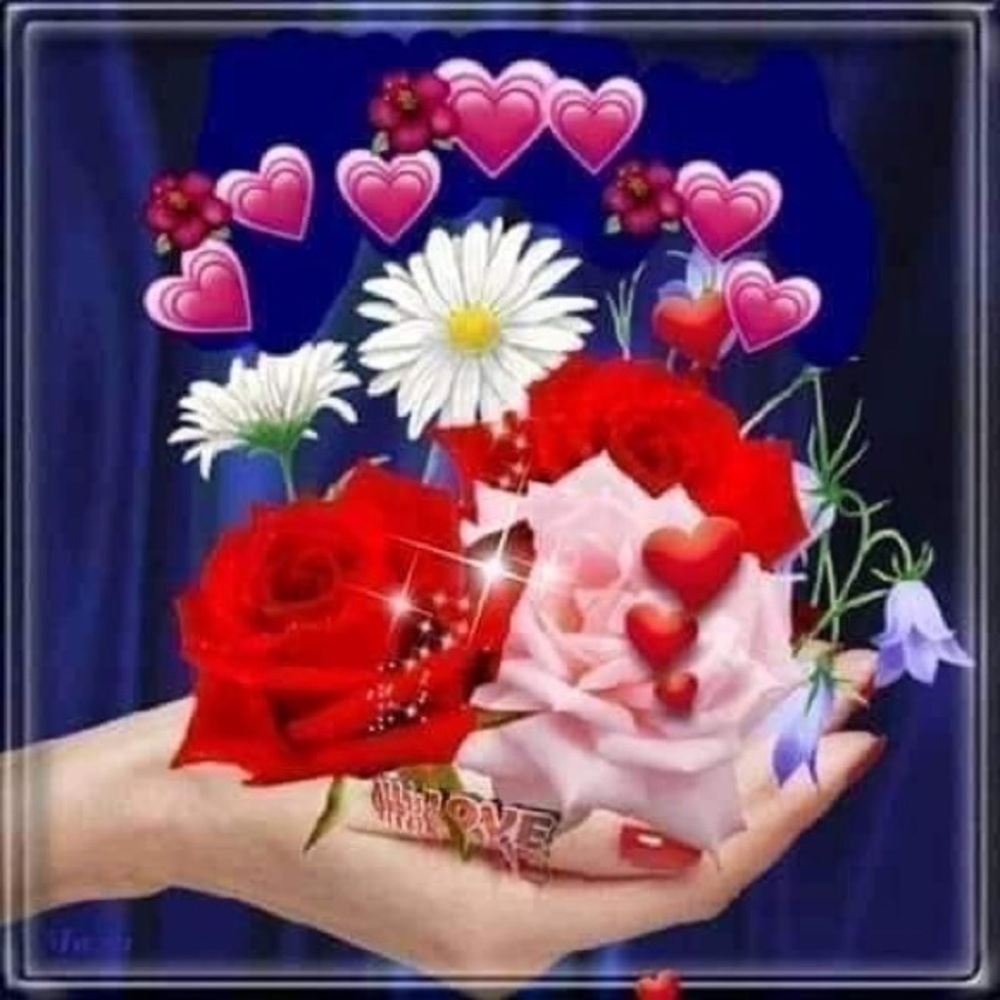 Meet your Posher, Sherin